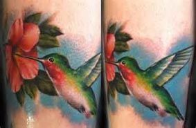 手臂上一只彩色的蜂鸟纹身图案