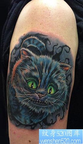 女生猫纹身图案,胳膊个性小猫纹身