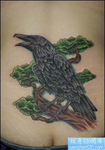 松树乌鸦纹身图案