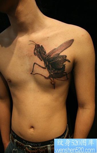 男子胸部张牙舞爪的螳螂纹身