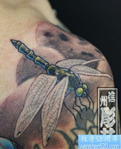 肩部一只大蜻蜓纹身图案