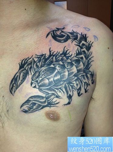 胸前蝎子纹身图案