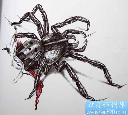 一幅欧美蜘蛛刺青图片