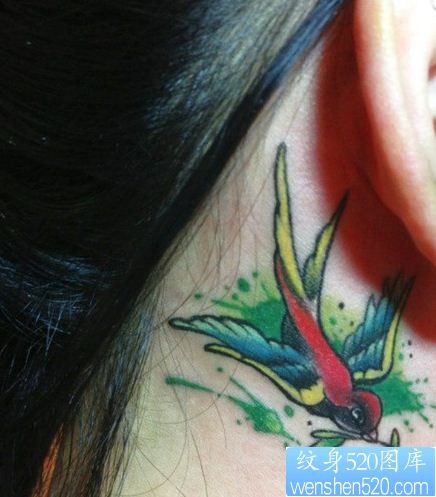 刺青520图库推荐一幅耳后彩色燕子刺青图片