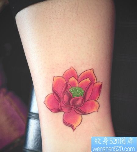 女人手腕流行的彩色莲花纹身作品