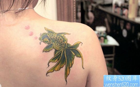 纹身520图库推荐一幅女人肩背金鱼纹身作品