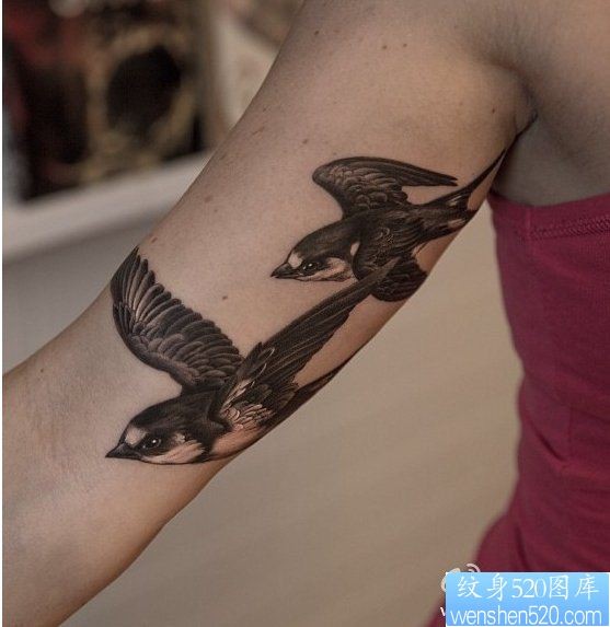 一幅手臂双飞燕纹身作品