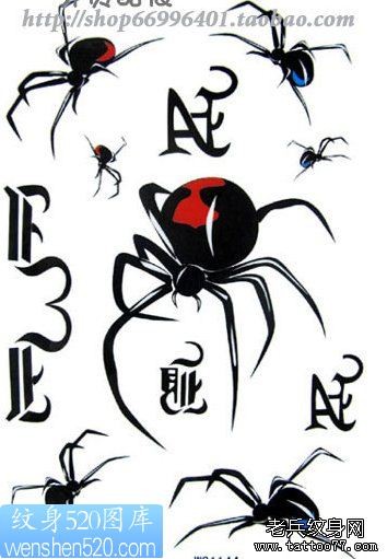 一组蜘蛛纹身手稿作品