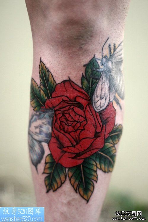腿部彩色玫瑰花纹身作品