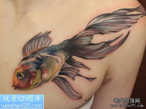 一幅胸部彩色金鱼纹身作品
