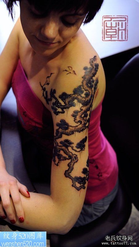 女人胳膊好看的松树纹身作品
