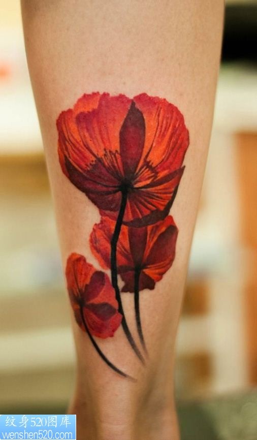 艳丽而富有毒性的罂粟花纹身图案