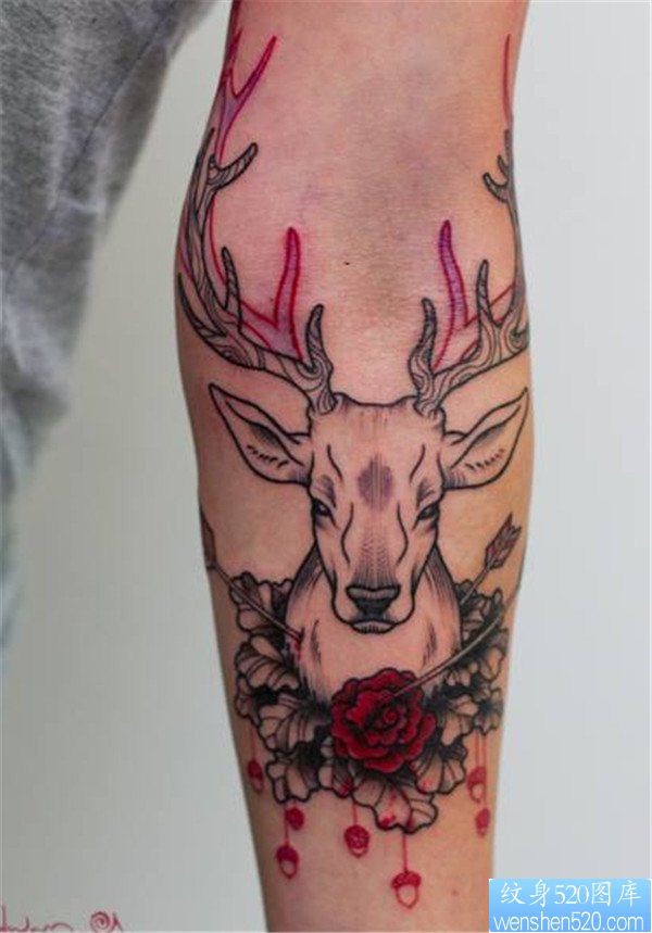 一幅手臂个性羚羊纹身作品