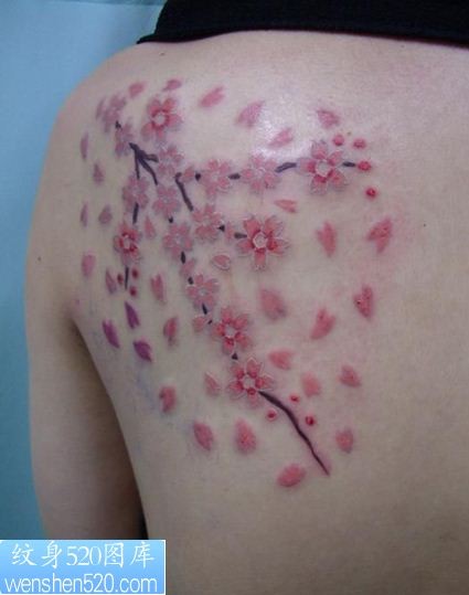 肩部樱花纹身图案图案