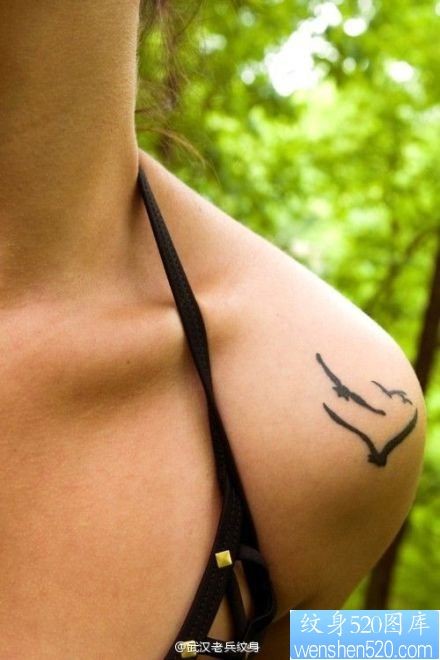 一幅女人肩部海鸥纹身图案