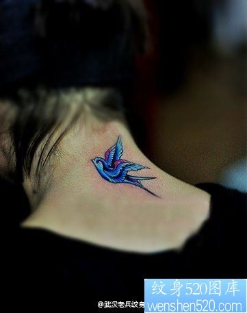 一幅女人颈部彩色燕子纹身图案