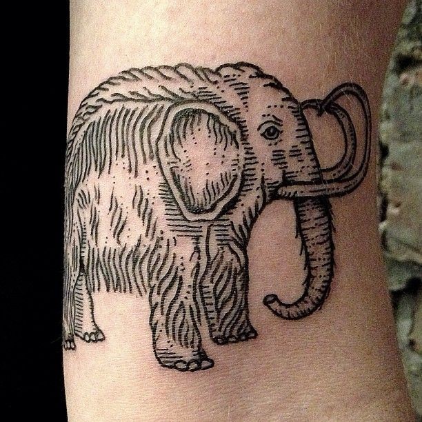 手腕上一只大象纹身