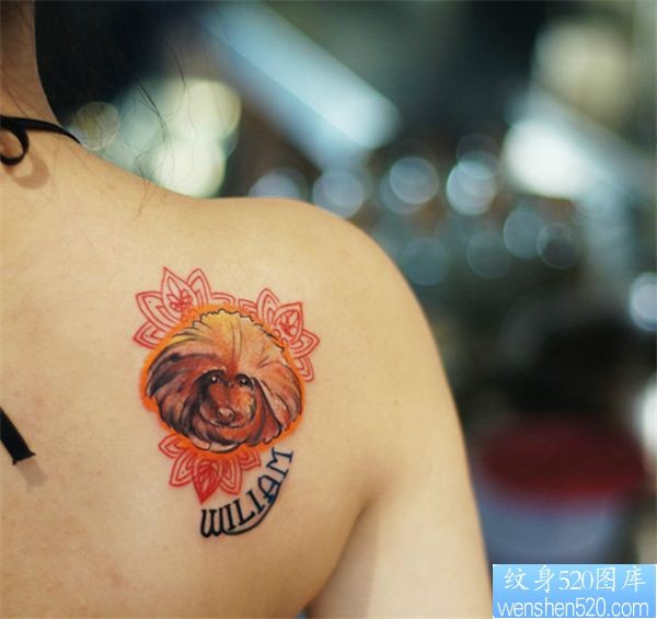 女人背部彩色狗狗纹身图案
