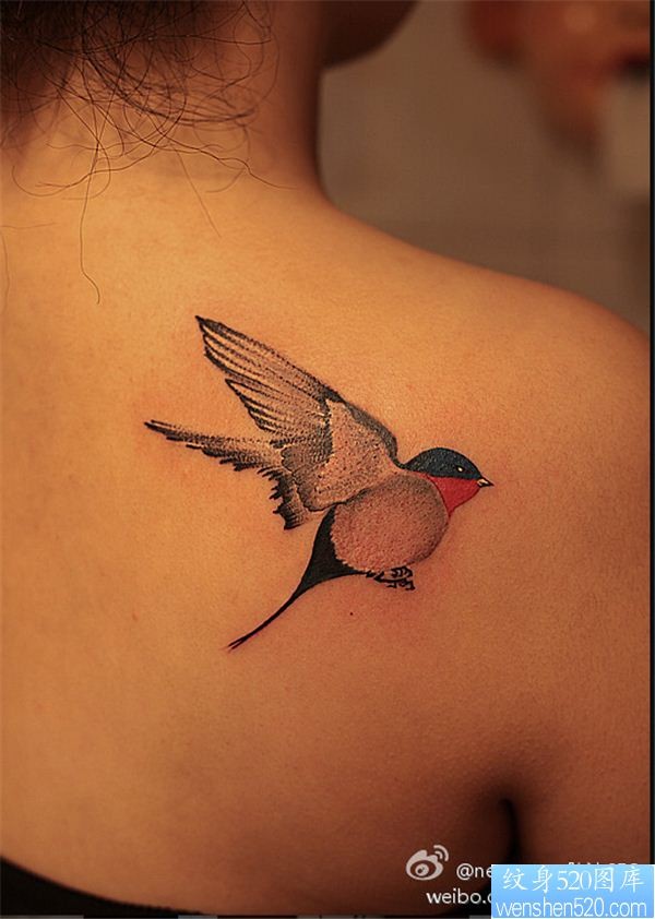 肩背鸟类纹身图案