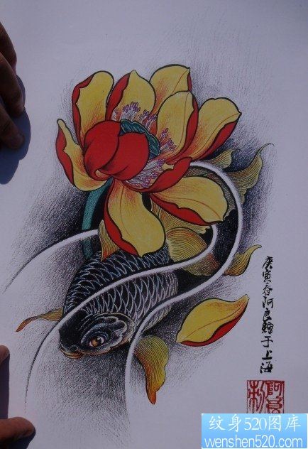 中华锦鲤纹身手稿（29）