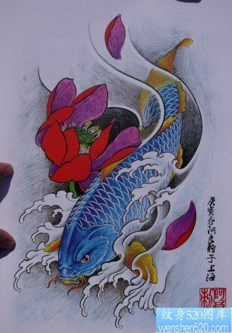 中华锦鲤纹身手稿（25）