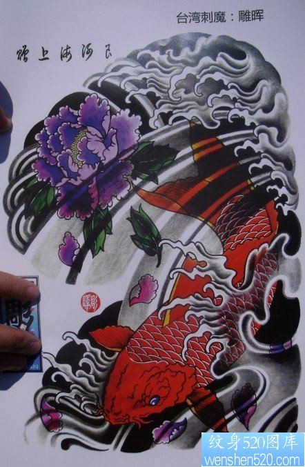 中华锦鲤纹身手稿（34）