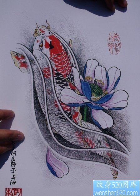 中华锦鲤纹身手稿（27）