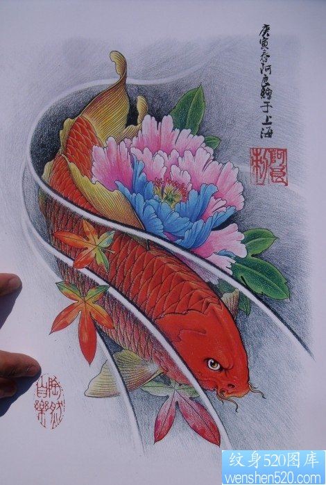 中华锦鲤纹身手稿（30）