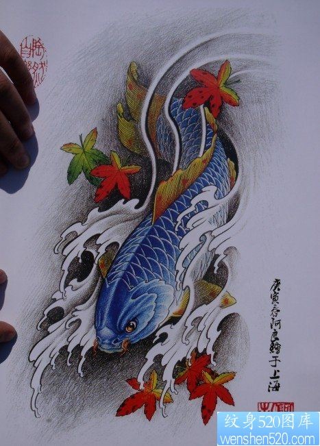 中华锦鲤纹身手稿（33）