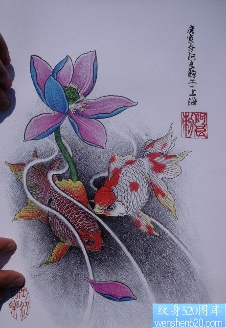 中华锦鲤纹身手稿（31）