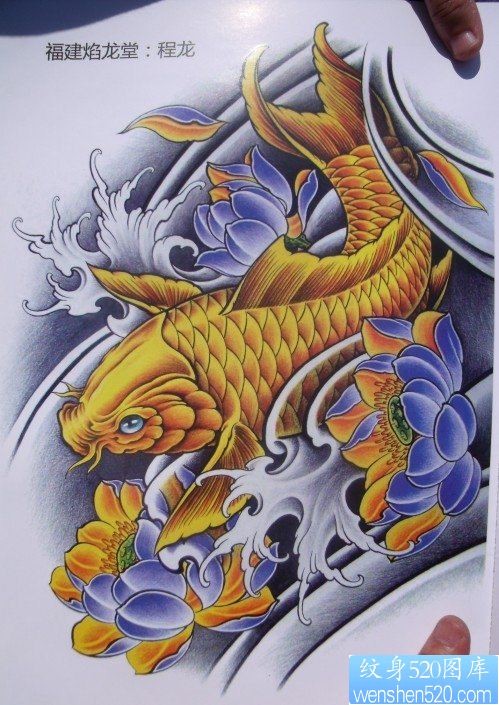 中华锦鲤纹身手稿（35）