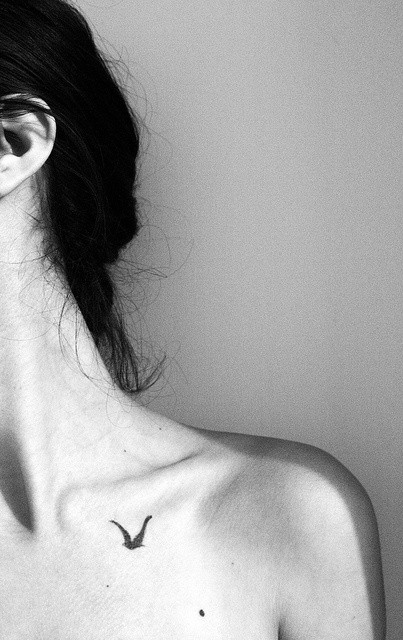 一幅女生胸前小鸟纹身图案