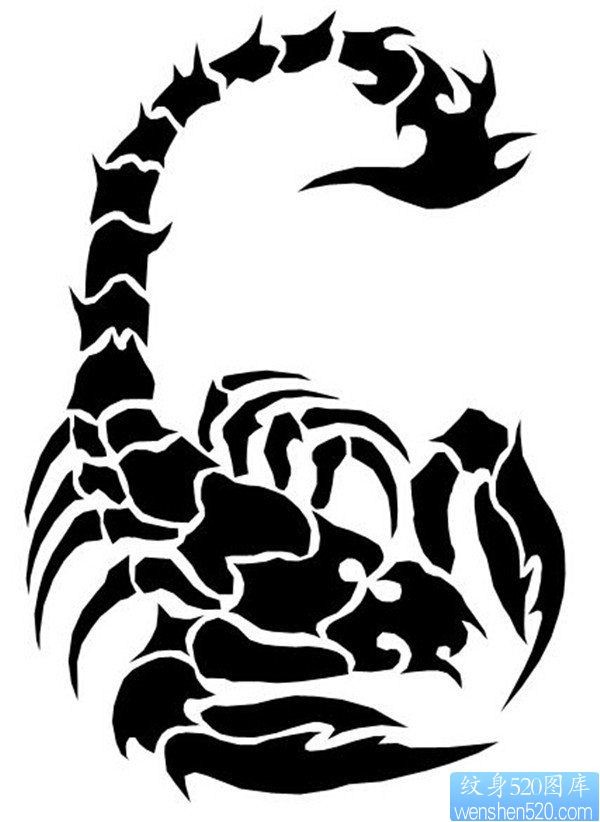 一幅图腾蝎子纹身图案