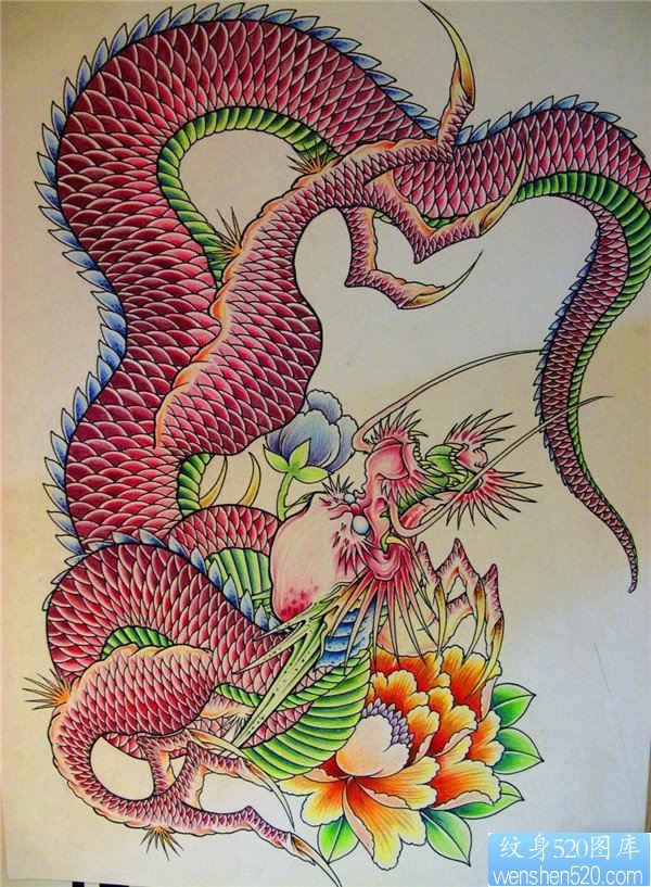 彩色传统龙纹身手稿图案