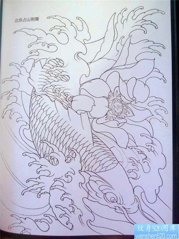 传统年鉴鱼纹身手稿（68）
