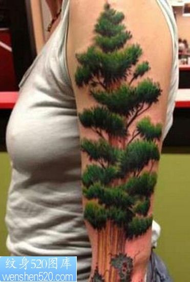 3D纹身手臂上的松树纹身图案图案