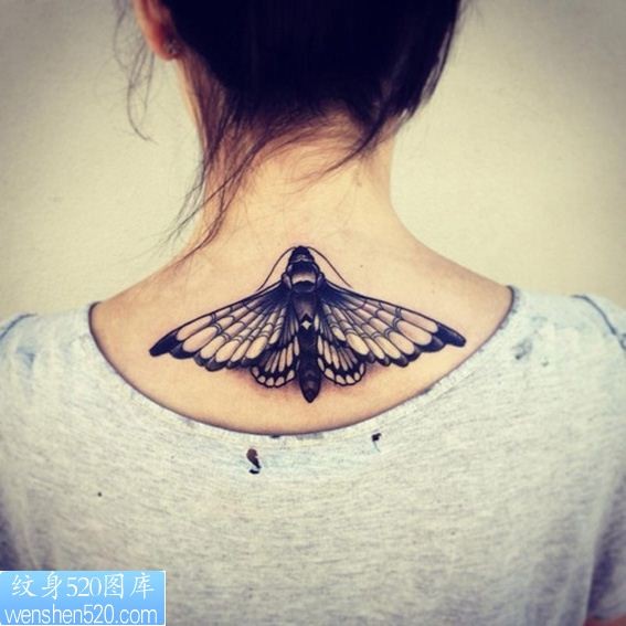 飞蛾纹身3D纹身图案图案
