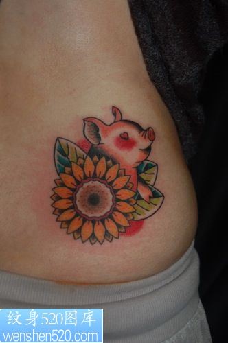 小猪向日葵纹身图案图案
