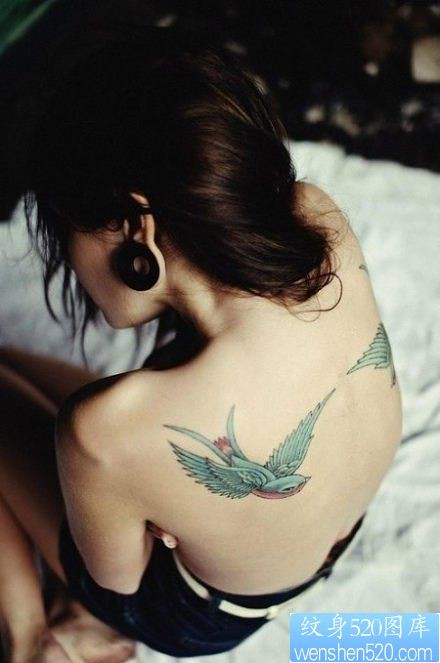 女性肩背彩色燕子纹身图案