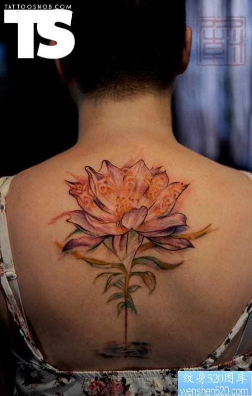 背部一款个性莲花纹身图案