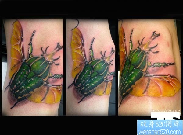胳膊个性昆虫纹身图案