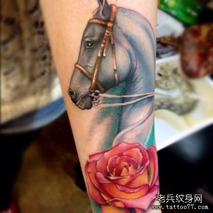 腿部彩色腿部马纹身图案由纹身图案