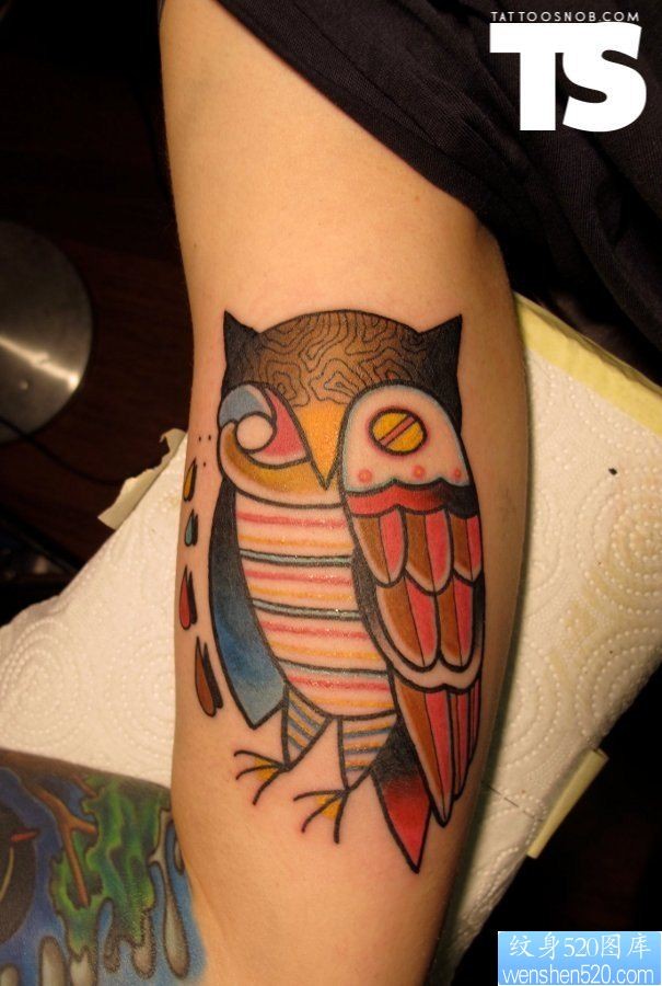 胳膊一款个性猫头鹰纹身图案
