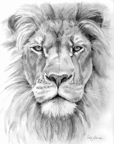 非常逼真的狮子头纹身手稿