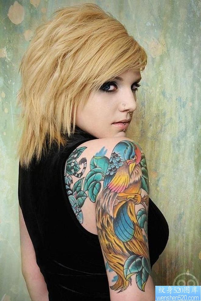 一款女性手臂彩色鹦鹉纹身图案