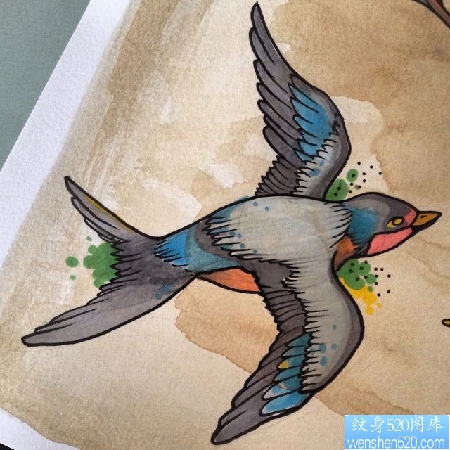 一款彩色燕子纹身手稿