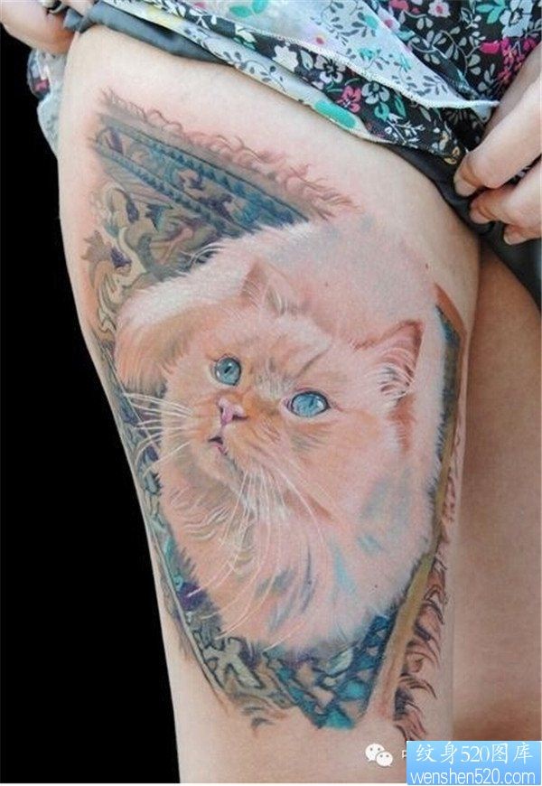一组猫咪纹身图案