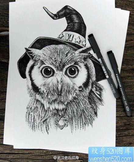 萌神猫头鹰纹身手稿图案