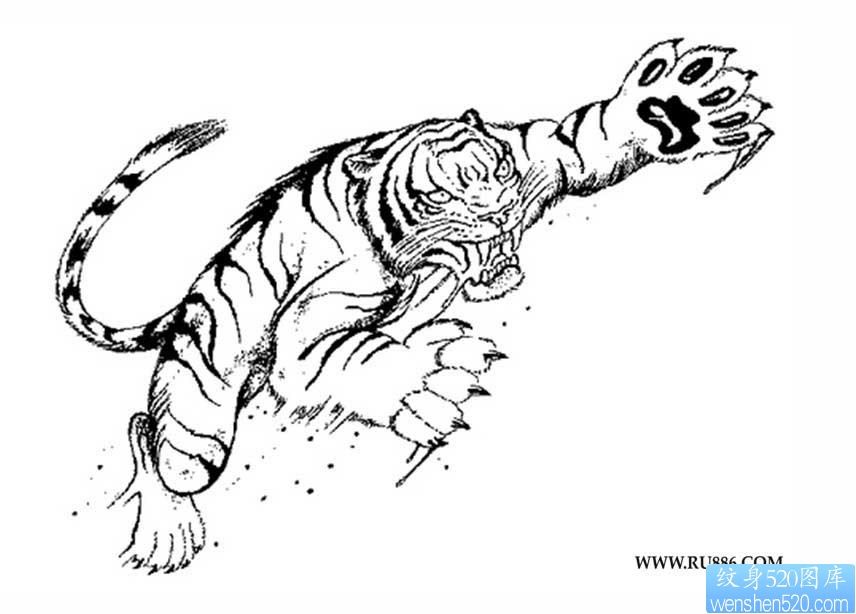 素描老虎纹身图案