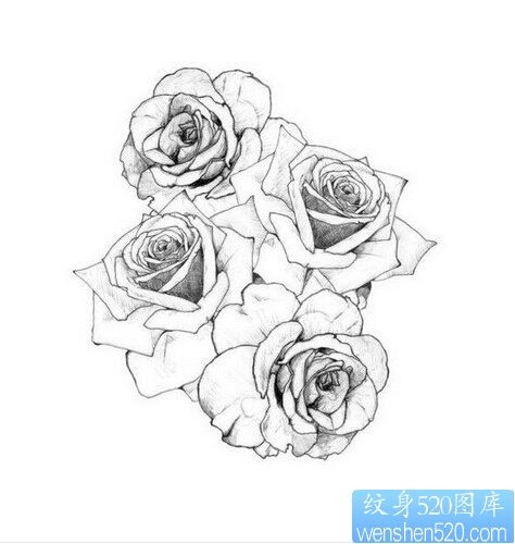 玫瑰花纹身图案